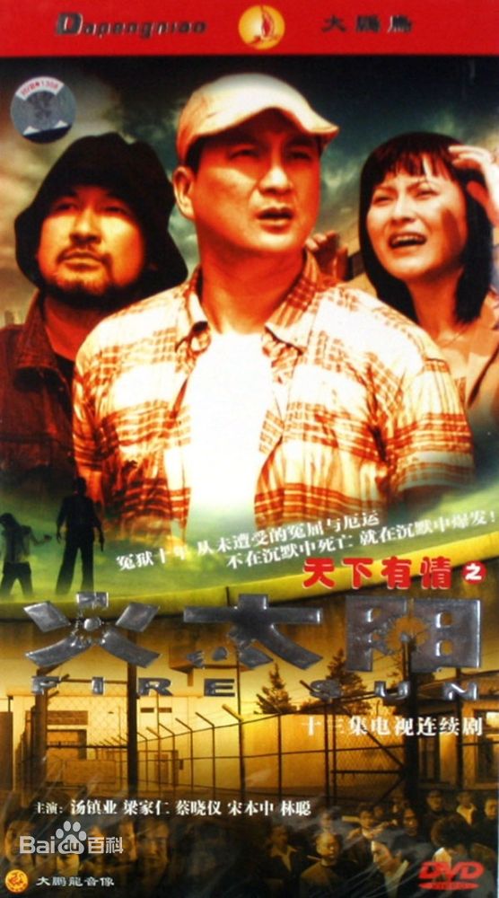 天下有情之火太阳第13集