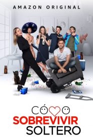 单身万岁第一季第10集(大结局)