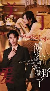 傅少的小祖宗又撒野了21-40集