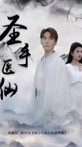 圣手医仙81-100集