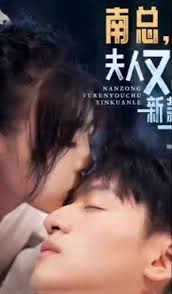 南总，夫人又出新款了全集(大结局)