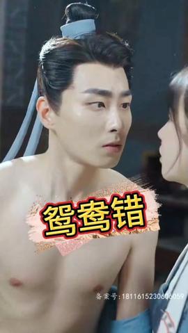 鸳鸯错全集(大结局)