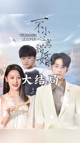 一不小心离错婚1-20集