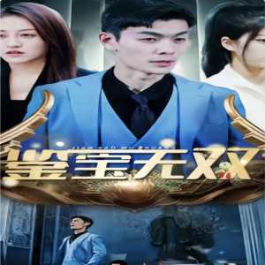 鉴宝无双21-40集