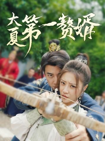 大夏第一赘婿全集(大结局)