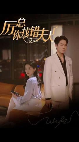 厉总，你找错夫人了1-20集