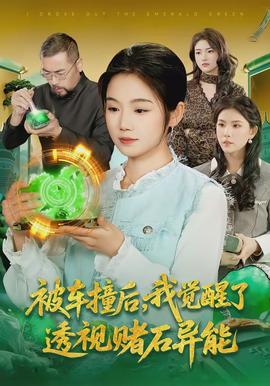 被车撞后，我觉醒了透视赌石异能了(全集)