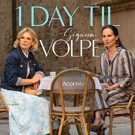 狐狸女士 第二季第2集